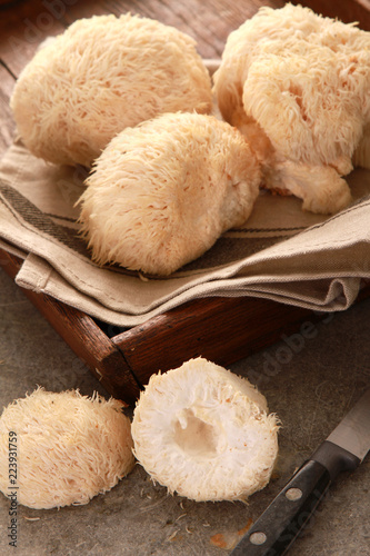 preparing fresh pompom mushrooms