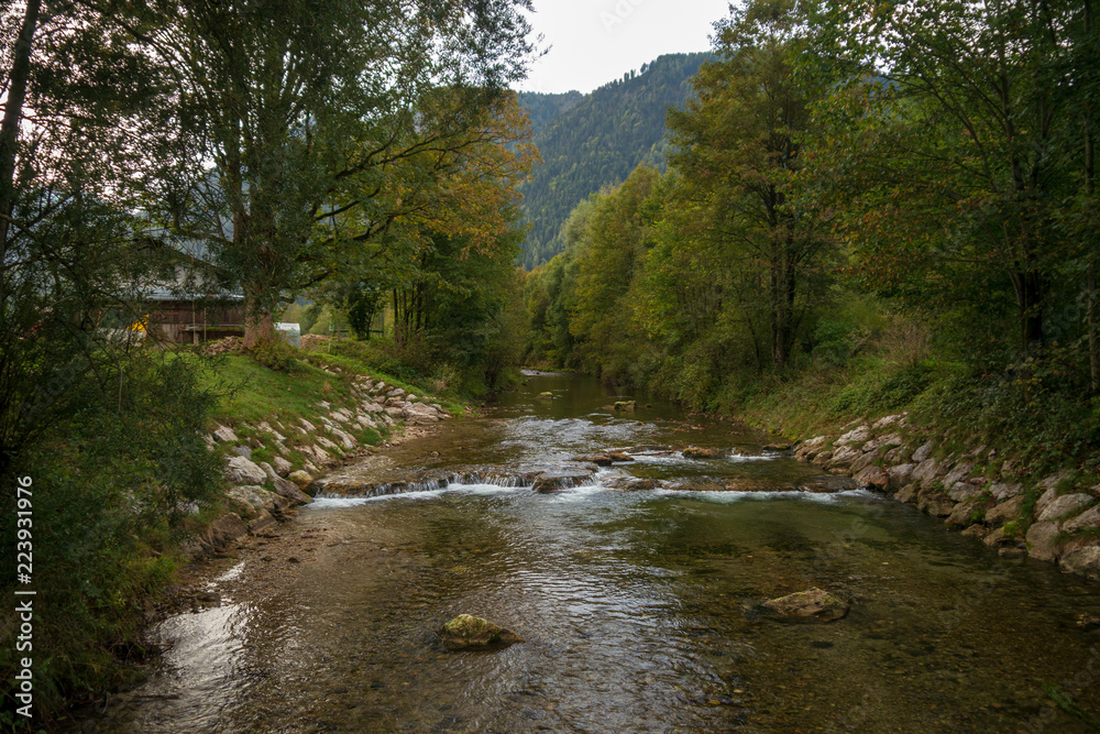 wild water through the forest land scape with long exposure and polfilter