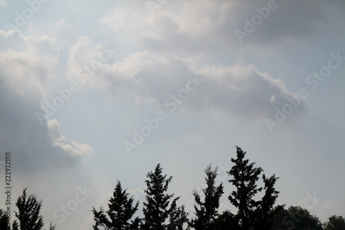 sunny day and cumulus clouds near the Mediterranean sea  © tuncay