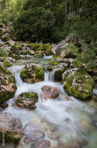 in the heart of Lepena Valley, Slovenia photo