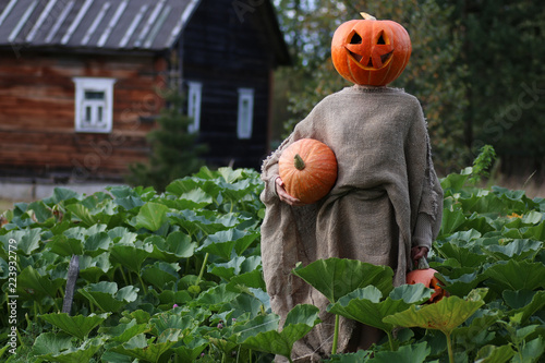 pumpkin head deamon horror photo