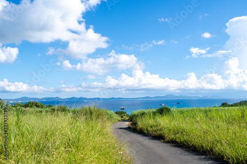 沖縄の海へと続く一本道