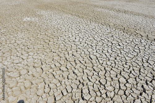 The parched soil