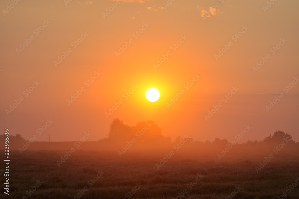 sunset over the fields
