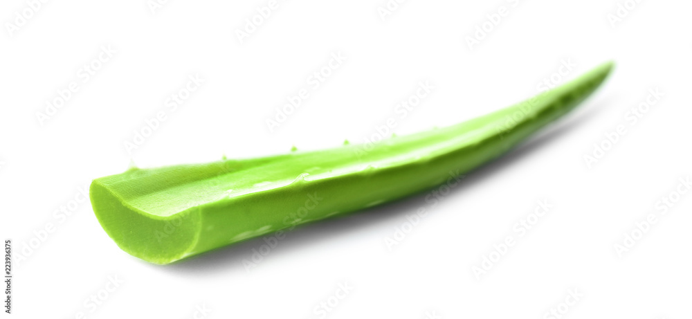 Aloe vera leaf on white background