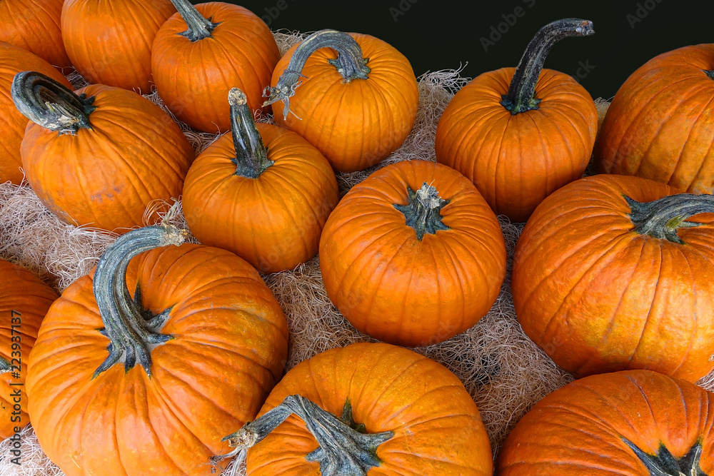 Interesting aerial view of pumpkins on display for Halloween. Interesting aerial view of pumpkins on display for Halloween.