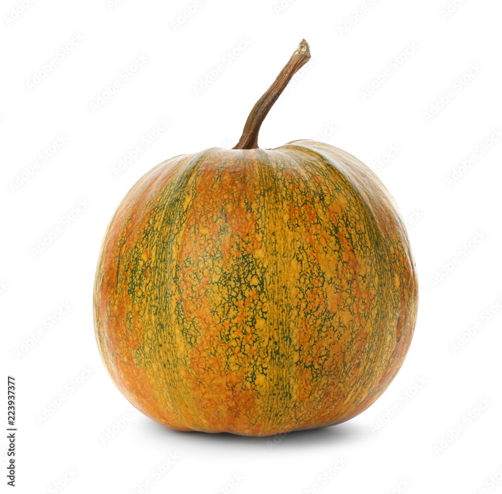 Fresh raw pumpkin isolated on white. Organic plant Fresh raw pumpkin isolated on white. Organic plant