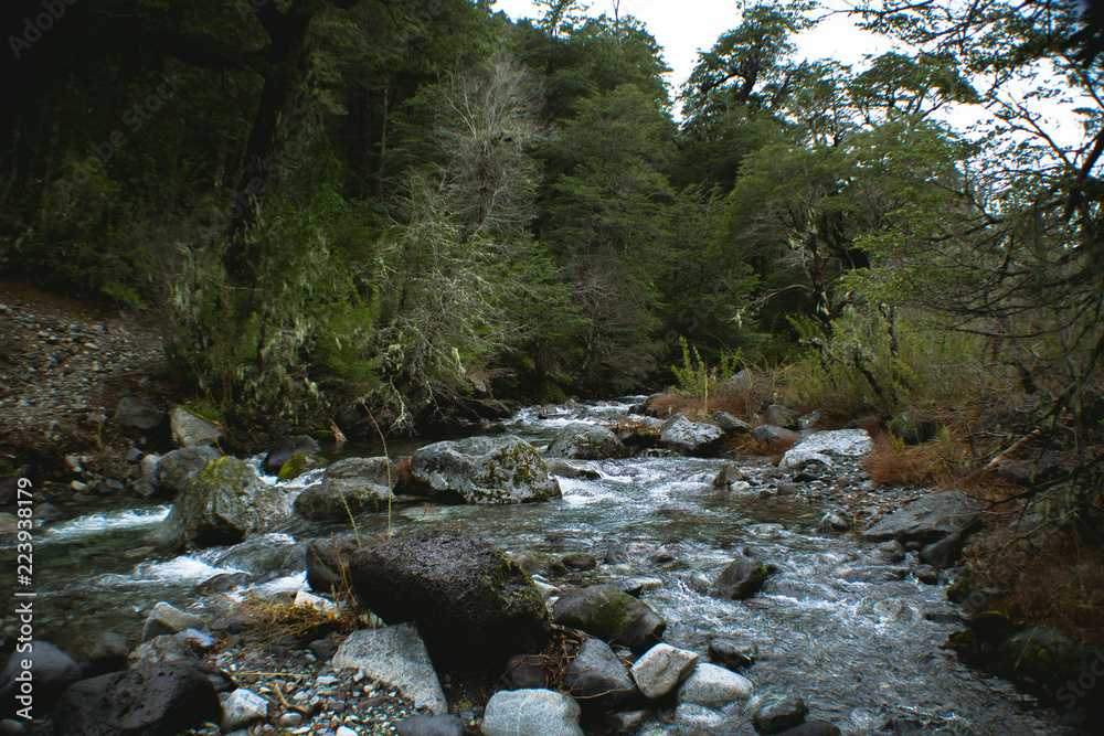 The beginning of Spring in LAs Trancas, a worldwide Biosphere Reserve and one of the best ski resorts in Latin America The beginning of Spring in LAs Trancas, a worldwide Biosphere Reserve and one of the best ski resorts in Latin America