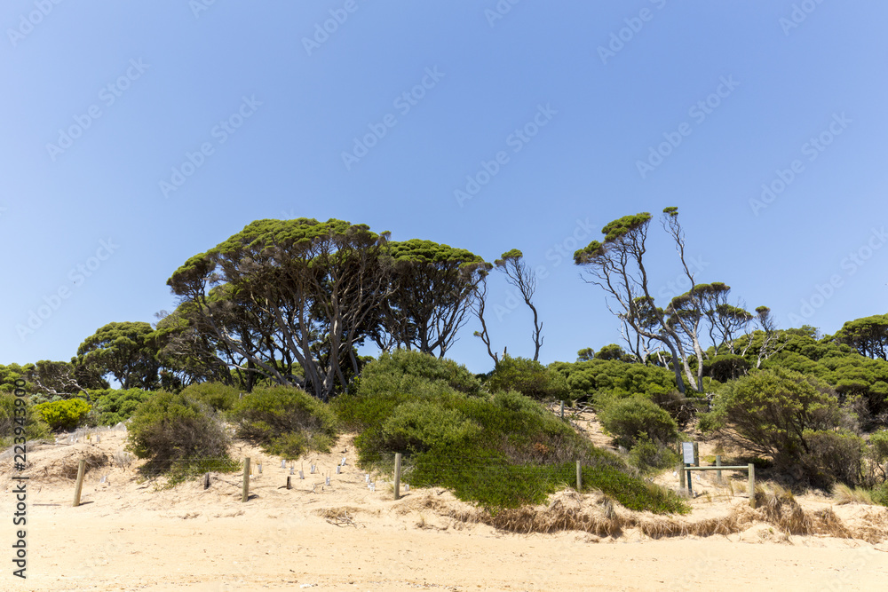 Red Rocks Beach on a sunny day, Phillip Island, Victoria, Australia Red Rocks Beach on a sunny day, Phillip Island, Victoria, Australia