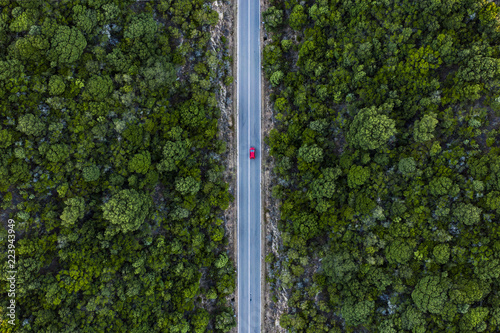 Aerial view of a red car that runs along a road flanked by a green forest.