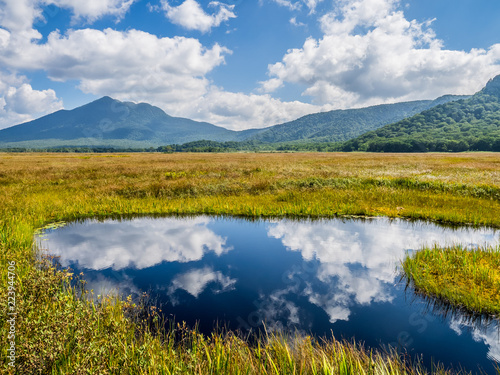 It is a scenic autumn landscape. The wood road gives a feeling of depth to the picture. I shot at Oze in Japan's national park.