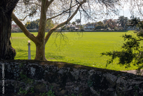 Stunning New Zealand sport field