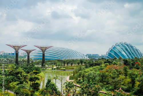 Singapore Gardens © Aldrin