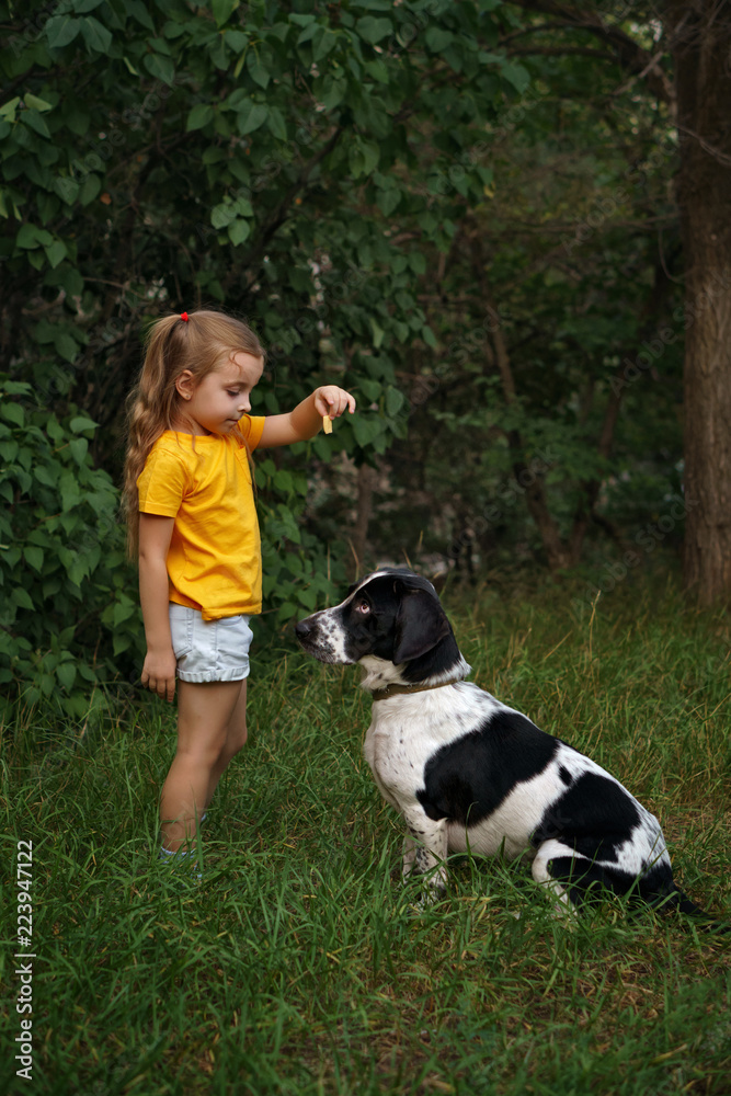 Little girl and mongrel dog outdoors. Child gives commands to pet. Dog has sad eyes. Children and animals. Little cynologist.