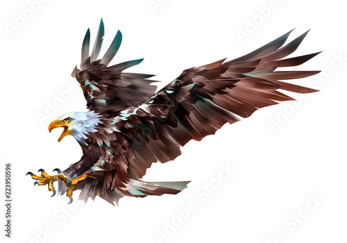 painted colored eagle bird in flight on a white background