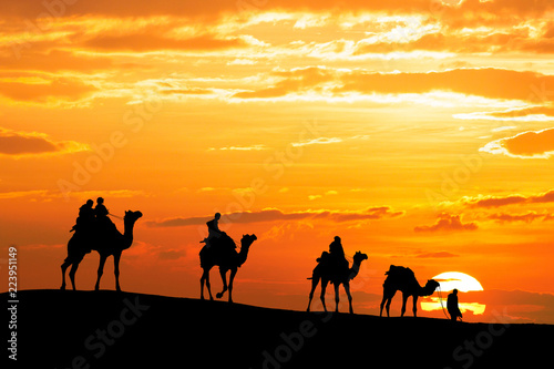 caravan Walking with camel through Thar Desert in India  Show silhouette and dramatic sky