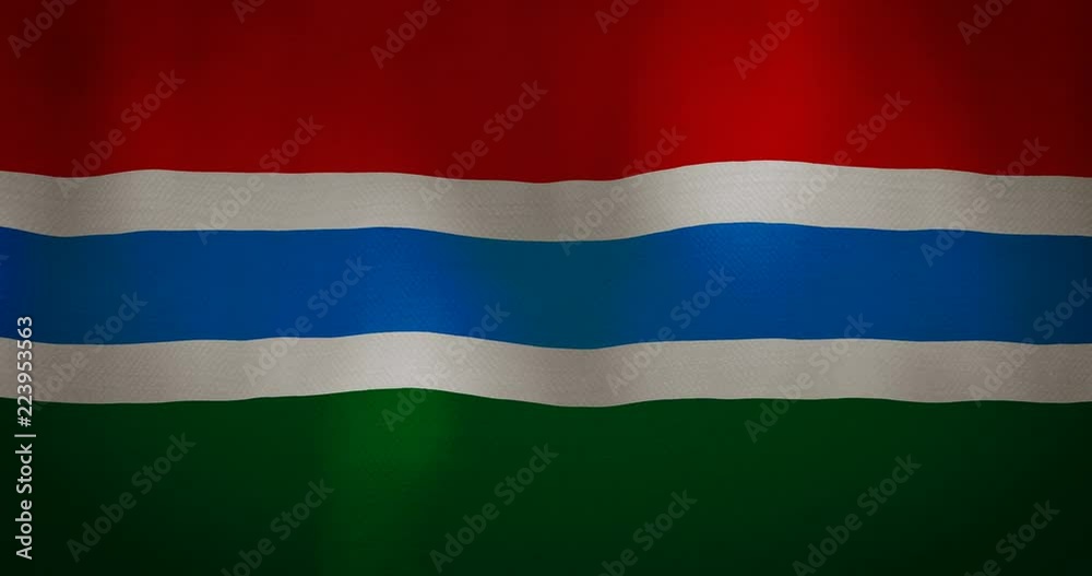 Gambia flag fabric texture waving in the wind. Gambia flag fabric texture waving in the wind.