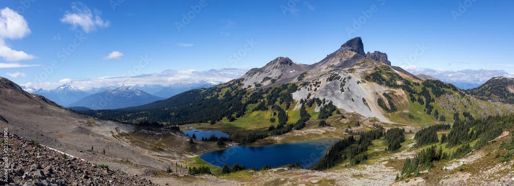 Beautiful panoramic Canadian Mountain Landscape view during a vibrant sunny summer day. Taken in Garibaldi Provincial Park, located near Whister and Squamish, North of Vancouver, BC, Canada.