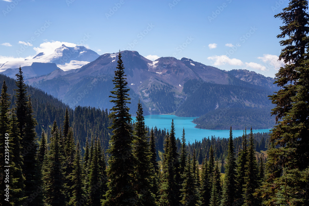 Beautiful landscape view during a vibrant sunny summer day. Taken in Garibaldi Provincial Park, located near Whister and Squamish, North of Vancouver, BC, Canada.