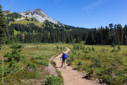 Girl hiking on a trail in nature during a vibrant sunny summer day. Taken in Garibaldi Provincial Park, located near Whister and Squamish, North of Vancouver, BC, Canada.