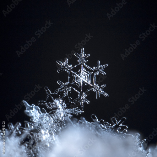 snowflake, little snowflake on the snow