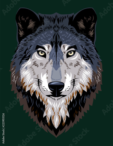 Beautiful portrait of a forest wolf
