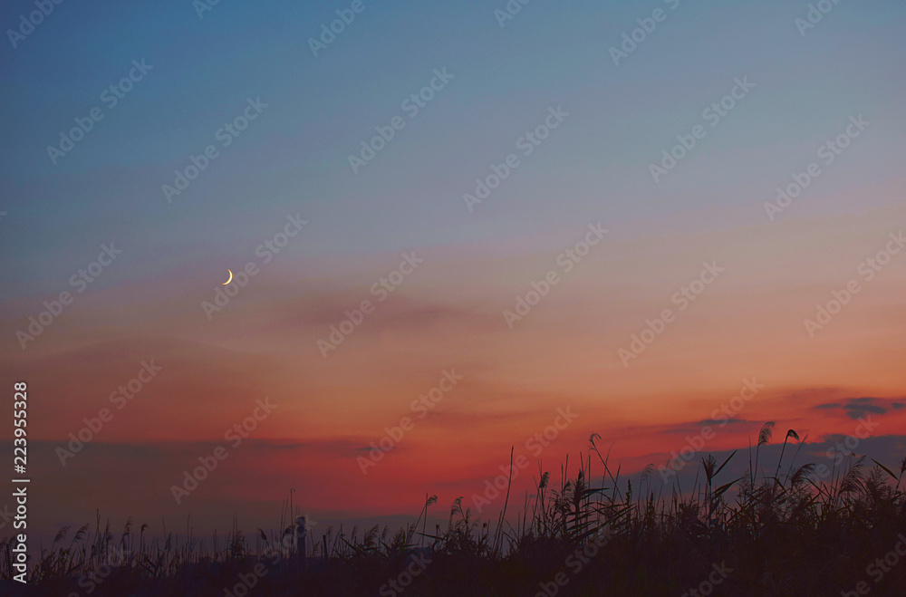 crescent moon with beautiful sunset background