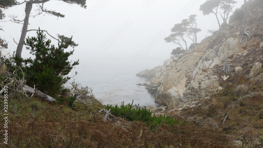 Point Lobos State Natural Reserve, Carmel California USA