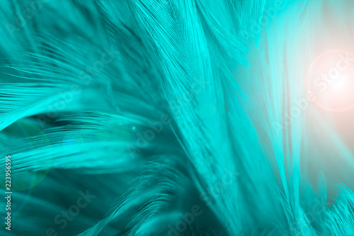Beautiful green turquoise vintage color trends feather texture background with orange light © nadtytok28