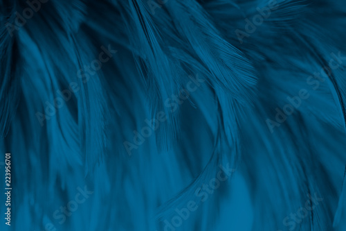 Beautiful Blue vintage color trends feather texture background