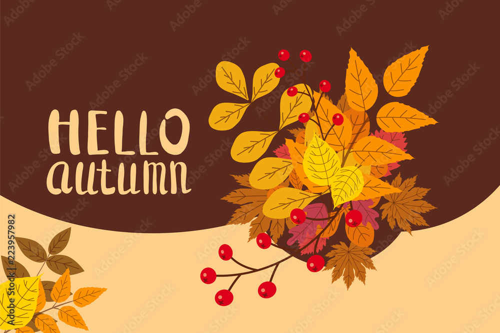 Obraz premium Hello Autumn, background with falling leaves, yellow, orange, brown, fall, lettering, template for poster, banner, vector, isolated