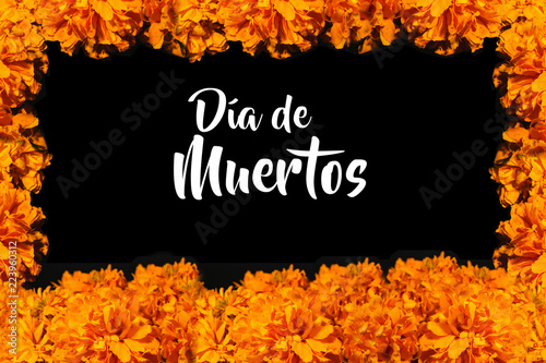 Dia De Los Muertos flor de cempasuchil Frame, Day of the Dead México photo