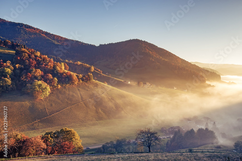 Scenic foggy mountain landscape with an old monastery in Black Forest, Germany. Colorful travel background.