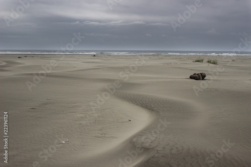 Wallpaper Mural Coastal Ocean Beach Blue Sky Clouds Reflections and Sea Birds  Torontodigital.ca