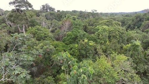 Tracking sideways over the canopy of pristine Amazonian rainforest near the Rio Shiripuno in the Ecuadorian Amazon. photo