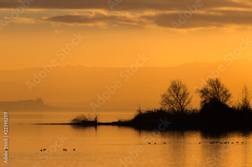 Beautiful view of a lake at sunset  with orange tones  birds on water and trees
