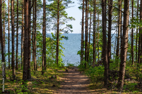 View of beautifull see landscape in Saaremaa, Estonia