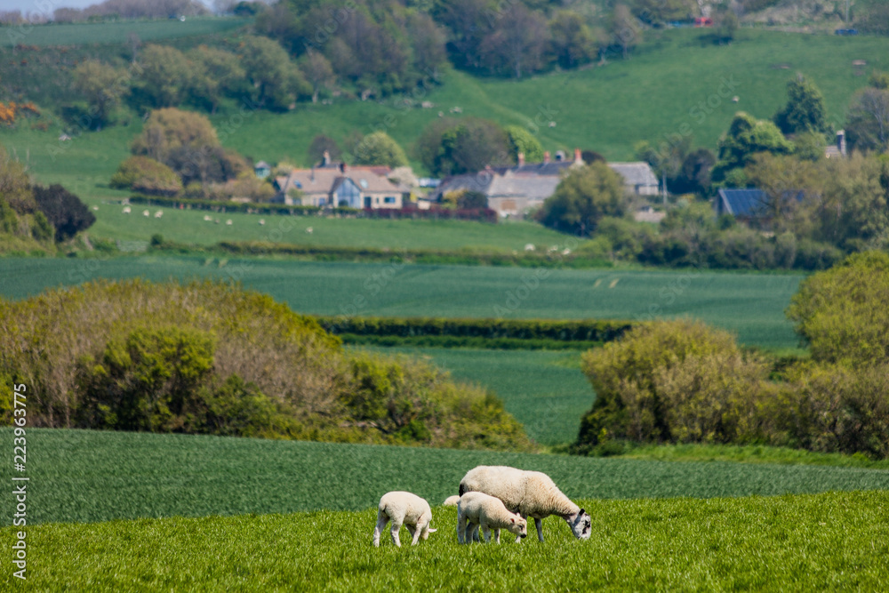 isle of purbeck dorset uk isle of purbeck dorset uk