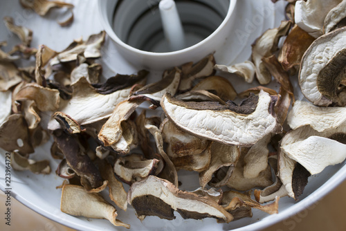 Dried mushrooms - boletus, close up in the detail