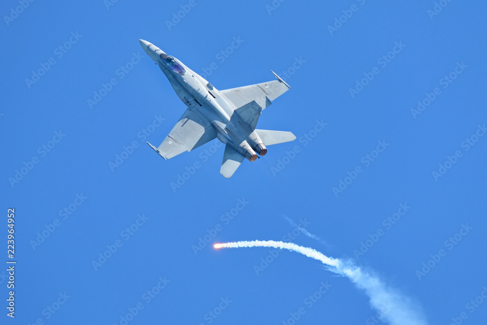 F-18 Fighter Jet - obrazy, fototapety, plakaty 