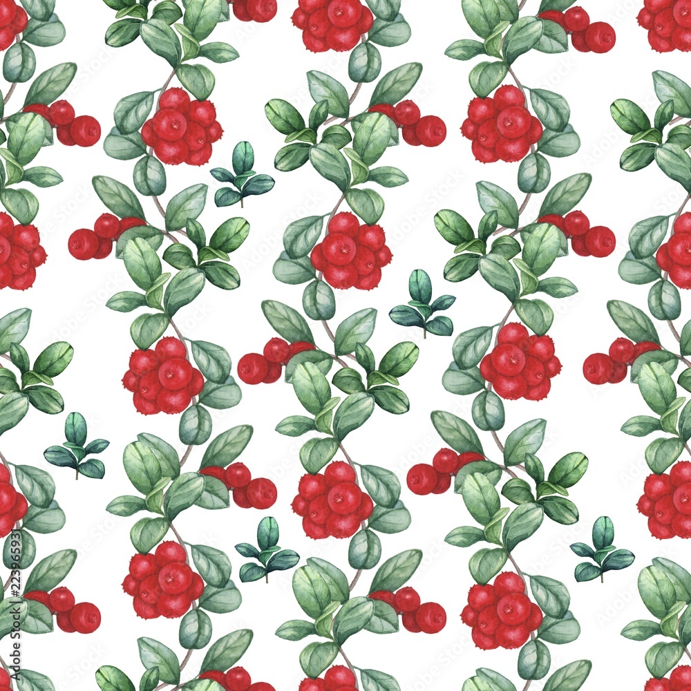 Cowberry. Seamless watercolor pattern. Hand-drawing