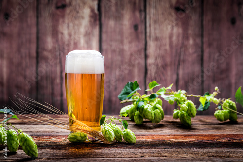 Bier - Alkohol - Spirituosen - Getränk - Hopfen - Gerste - Stutzen- Seidel - Kanne - Glas