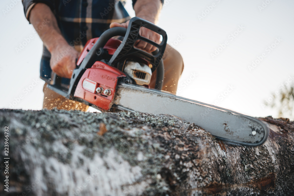 Close up view on bearded strong lumberjack wearing plaid shirt sawing tree with chainsaw for work on sawmill
