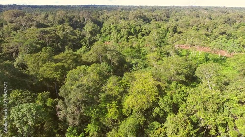 Flying over pristine tropical rainforest above a bend in the Rio Shiripuno in the Ecuadorian Amazon on a sunny evening. photo