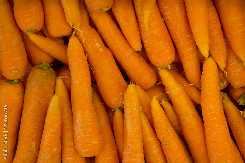 CLOSE UP OF FRESH CARROTS ON SUPERMARKET SHELF CLOSE UP OF FRESH CARROTS ON SUPERMARKET SHELF