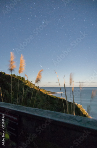 Manu Bay at Night photo