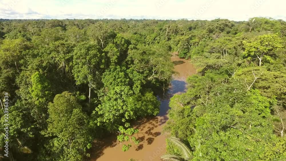 Flying over pristine tropical rainforest along the Rio Shiripuno, a tributary of the Amazon in Ecuador. Flying over pristine tropical rainforest along the Rio Shiripuno, a tributary of the Amazon in Ecuador.