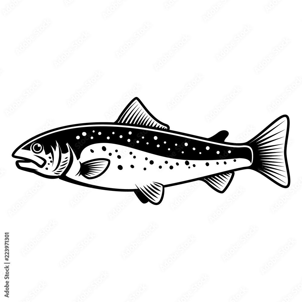 Trout fish sign on white background. Salmon fishing. Design element for logo, label, emblem, sign. Trout fish sign on white background. Salmon fishing. Design element for logo, label, emblem, sign.