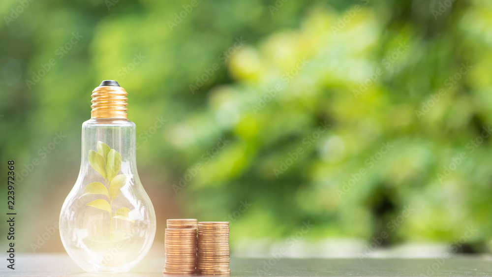 Fotografie ..Energy saving. tree in light bulb and stacks of coins on nature background. Sa