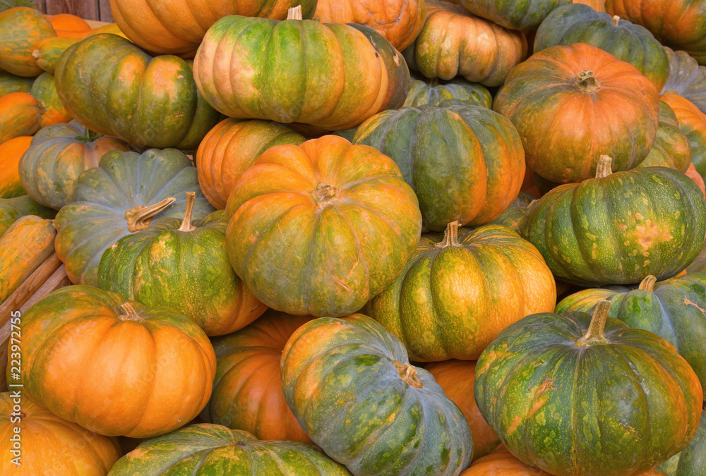 Colorful pumpkins
